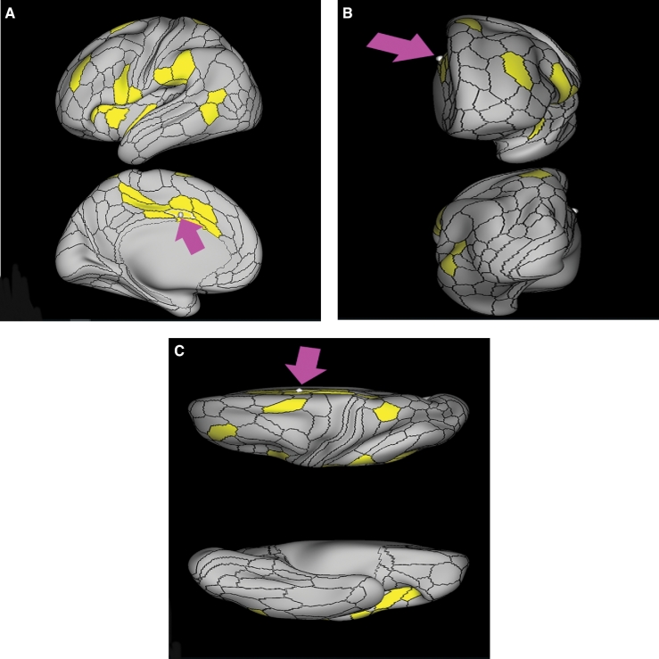 FIGURE 9.