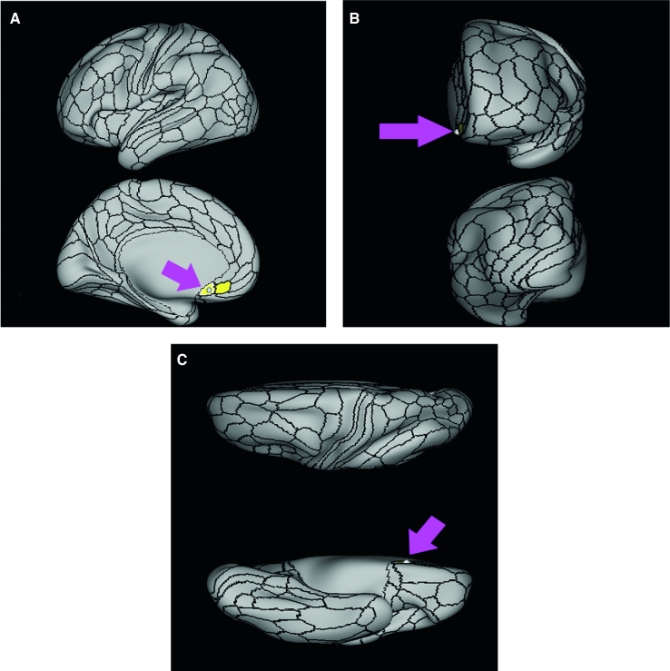 FIGURE 27.