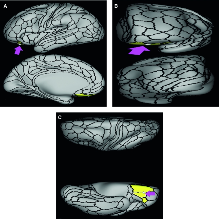 FIGURE 49.