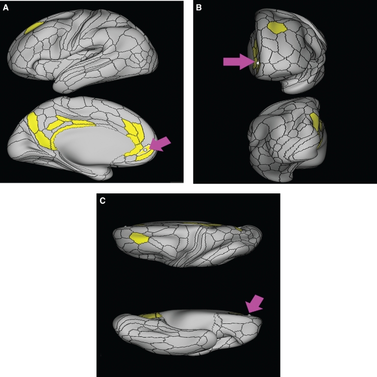 FIGURE 23.