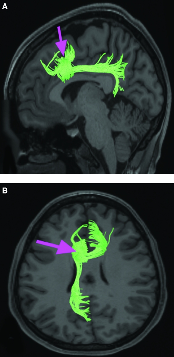 FIGURE 20.