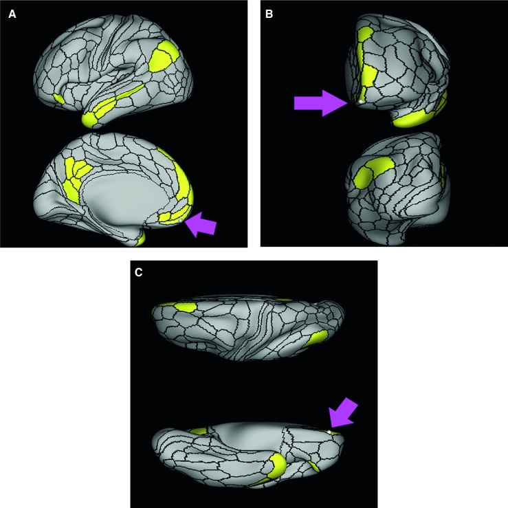 FIGURE 39.