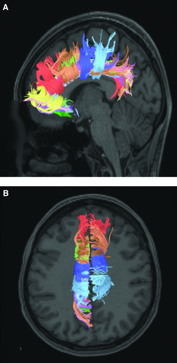 FIGURE 2.