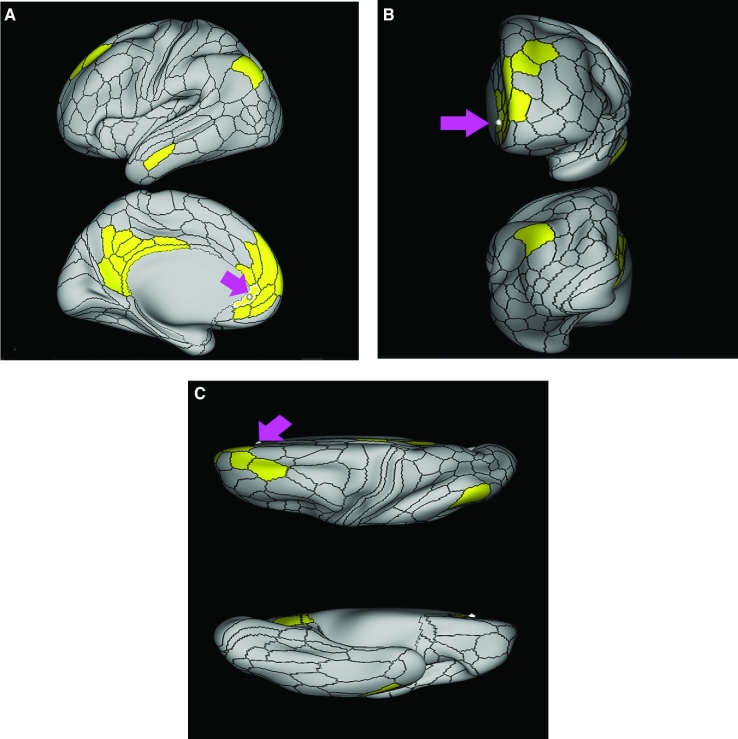 FIGURE 15.