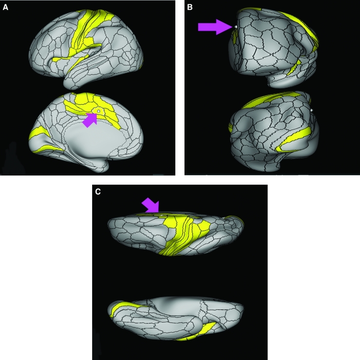 FIGURE 7.