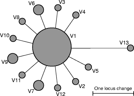 FIG. 3.