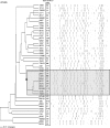 FIG. 1.