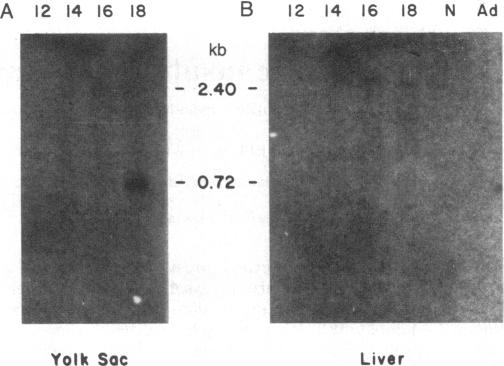 graphic file with name pnas00613-0036-a.jpg