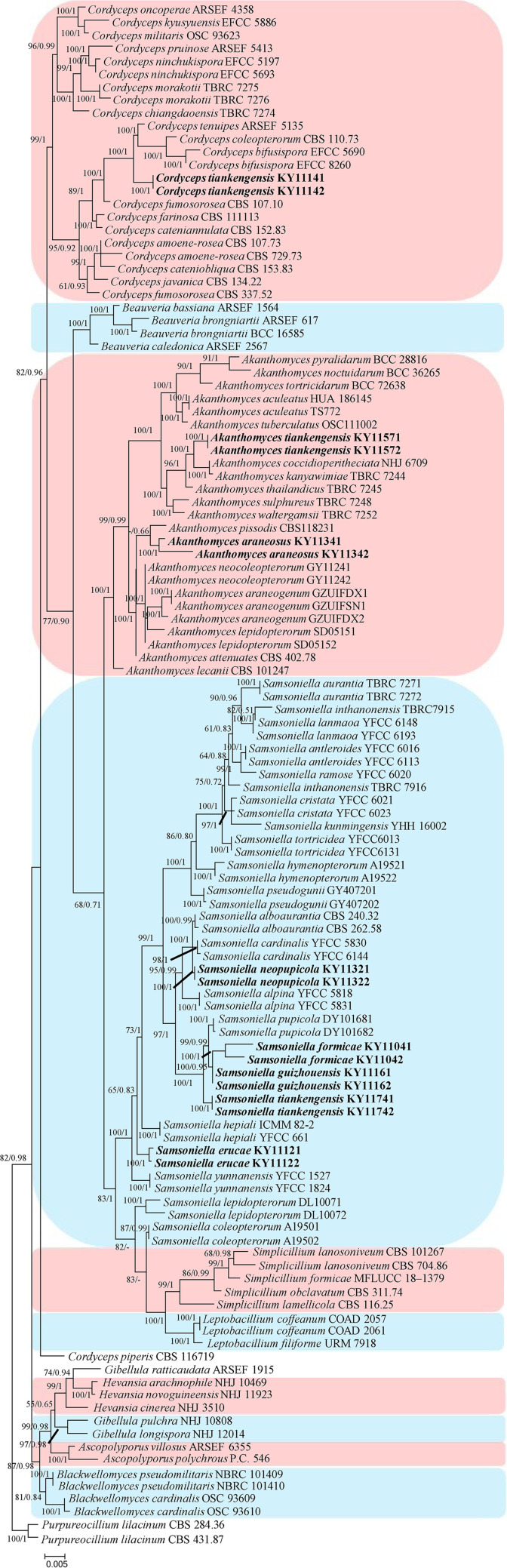 FIG 2