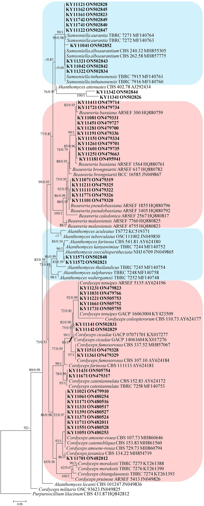 FIG 1