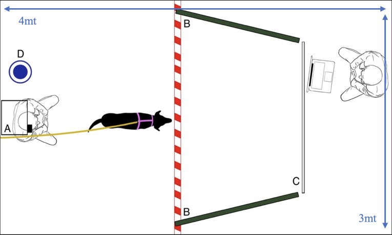 Representation of the experimental set up