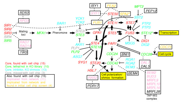 Figure 5