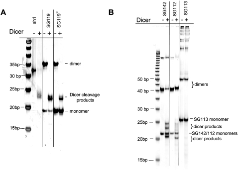 FIGURE 10.