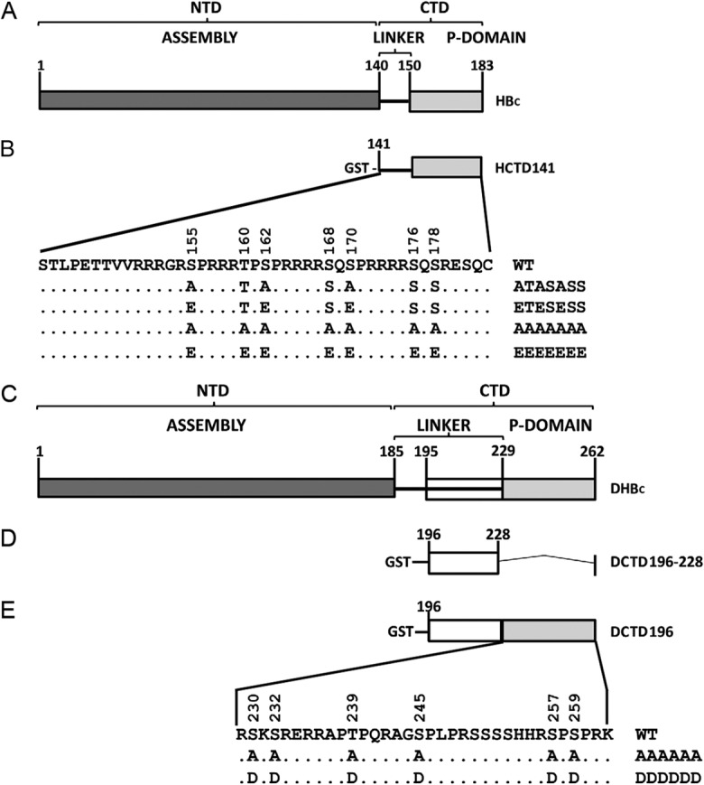 FIG 1