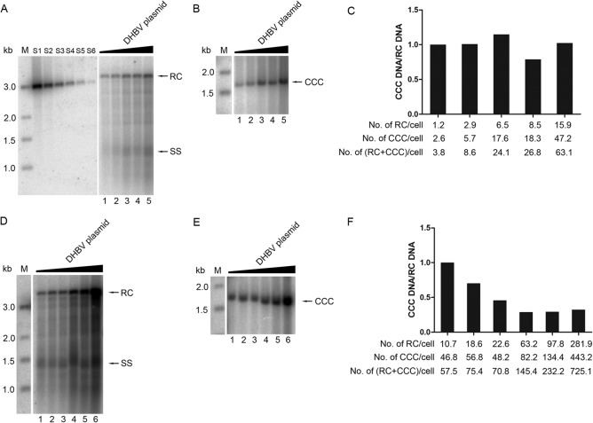 FIG 6