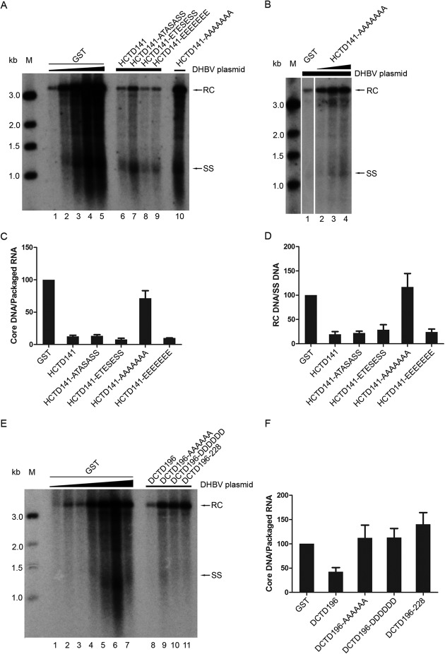 FIG 4