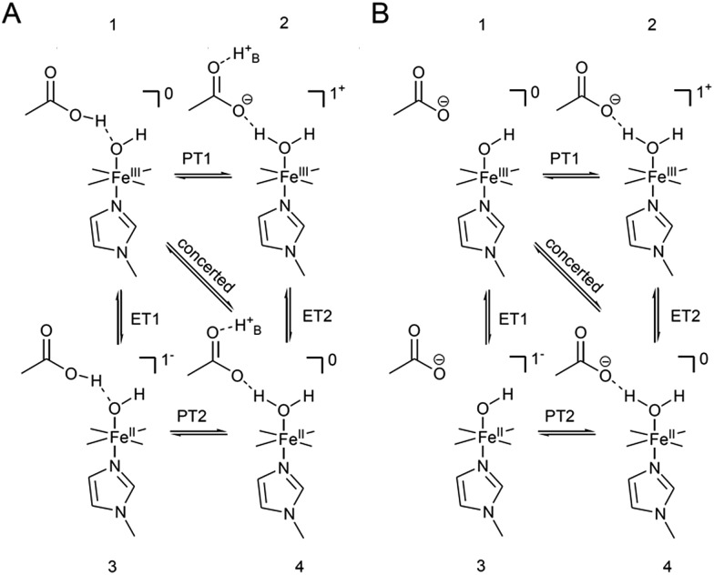 Scheme 2