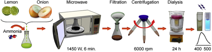 Fig. 1