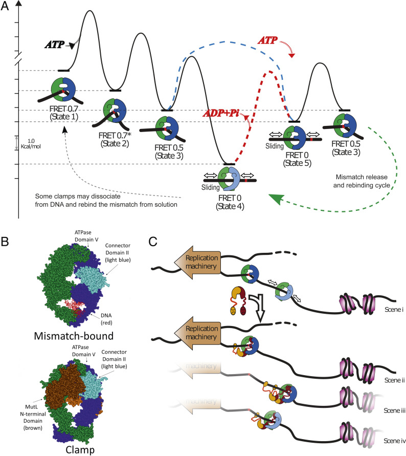 Fig. 4.