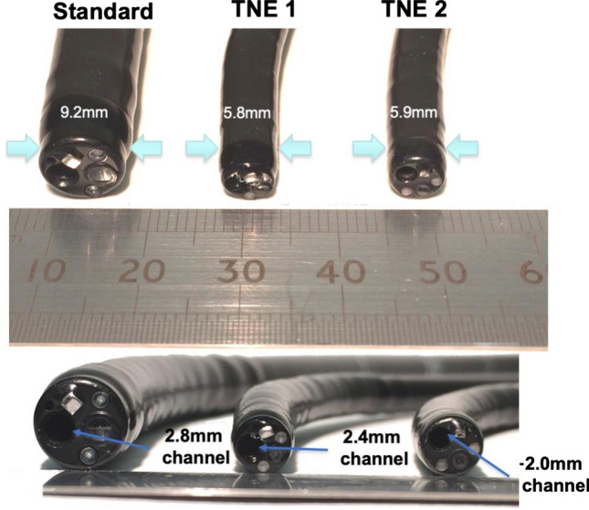 Fig. 3