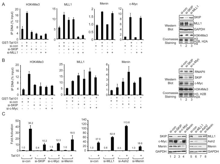 Figure 4