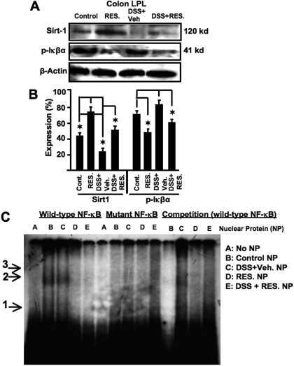 Fig. 10.