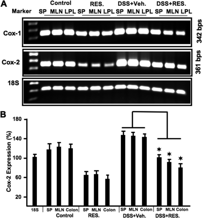 Fig. 9.