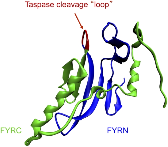 Figure 3.