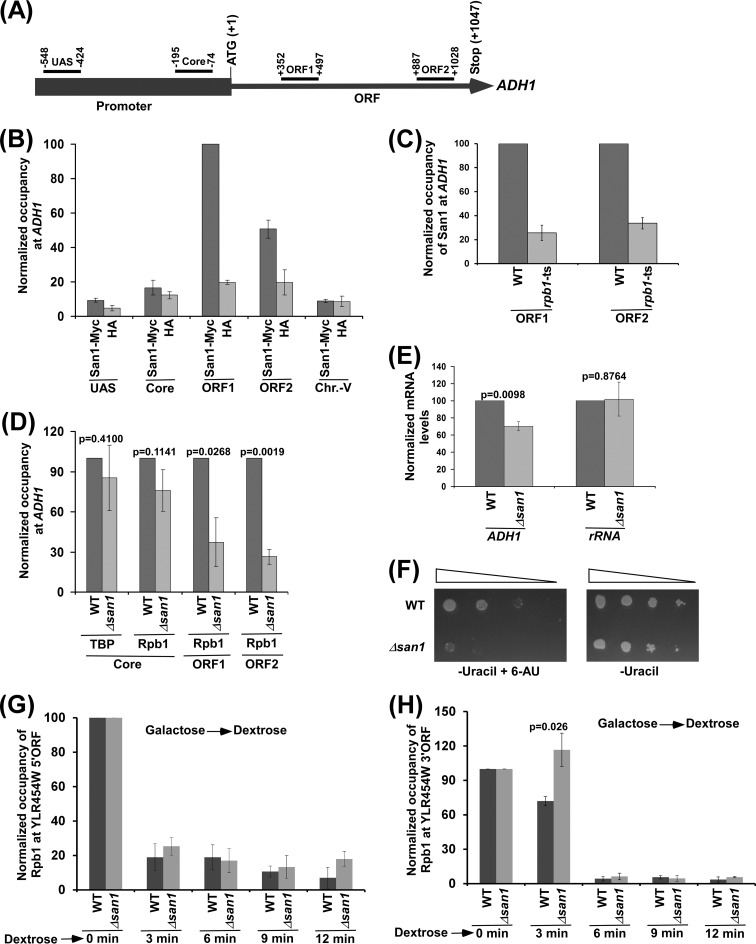 FIG 1