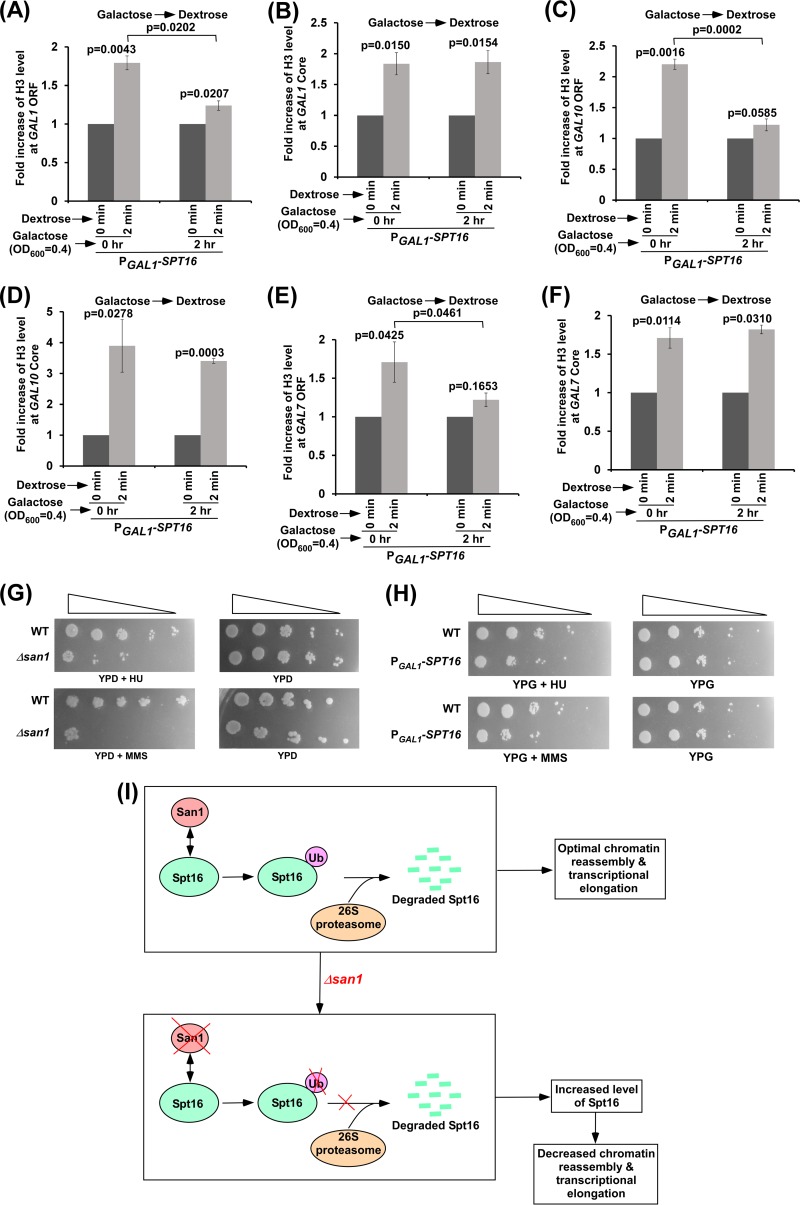 FIG 6