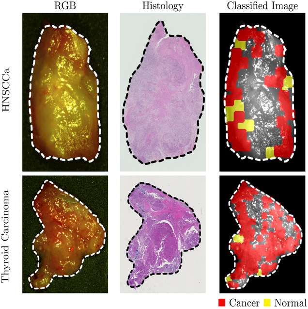 Figure 3: