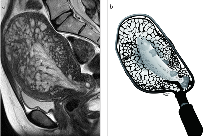 Figure 2. a, b