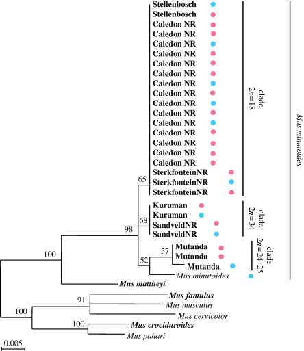 Figure 4.