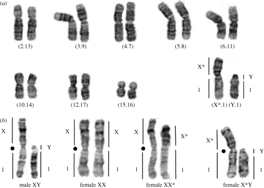 Figure 3.