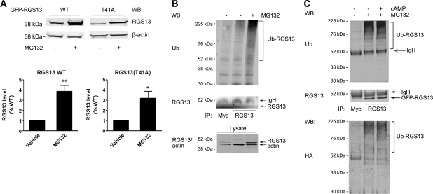 Figure 6