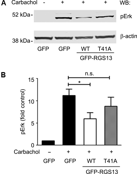 Figure 7