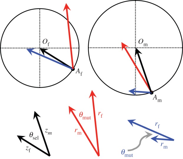 Figure 1.