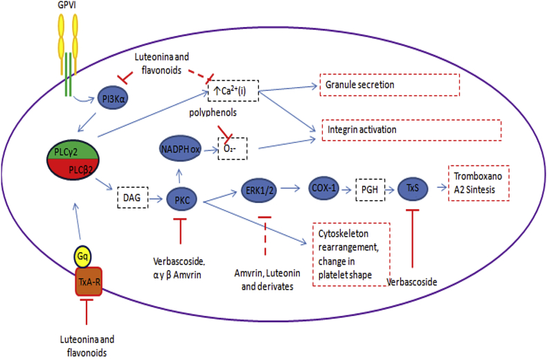 Fig. 4