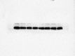 figs13