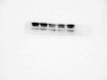figs3