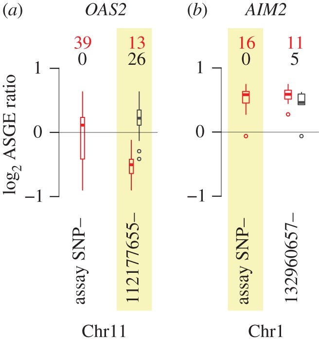 Figure 2.