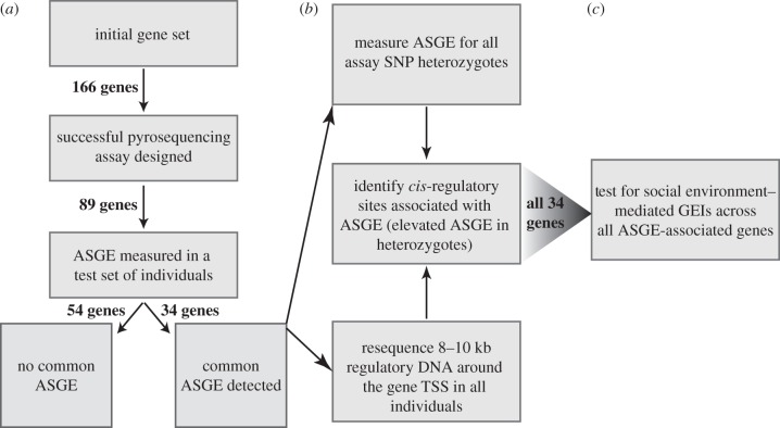 Figure 1.