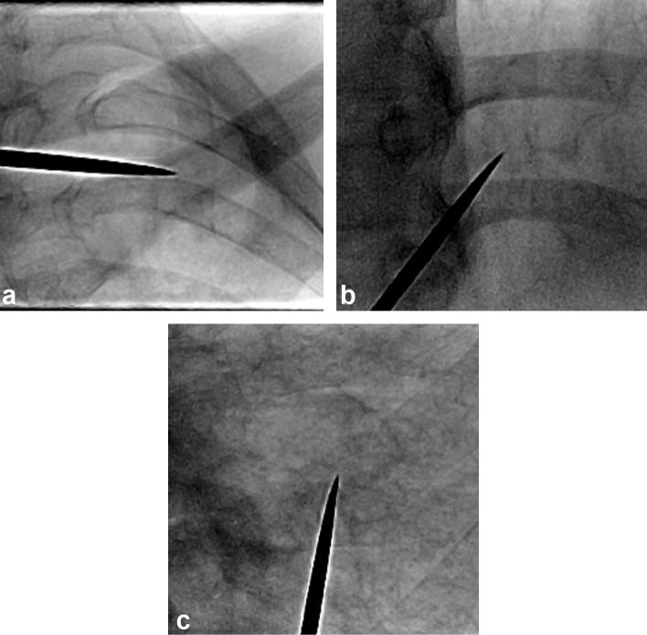 Figure 3.  