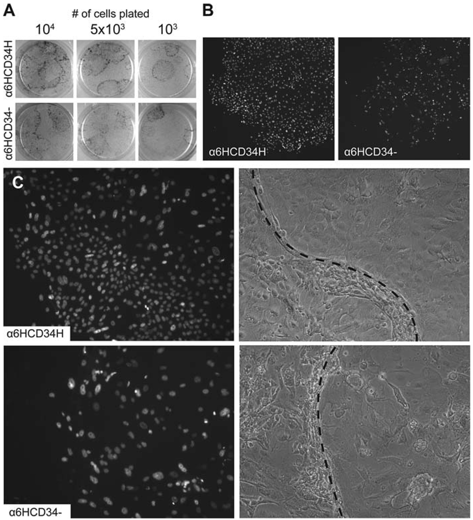 Fig. 14.3