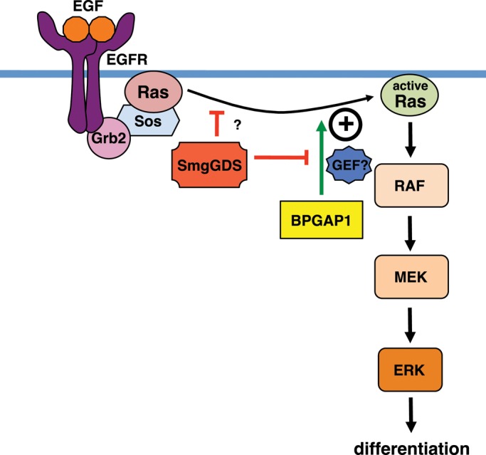 FIGURE 7: