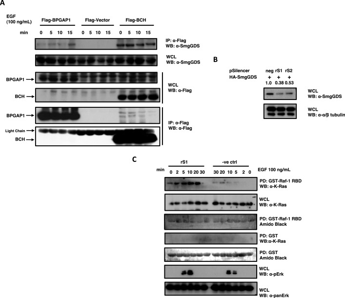 FIGURE 4: