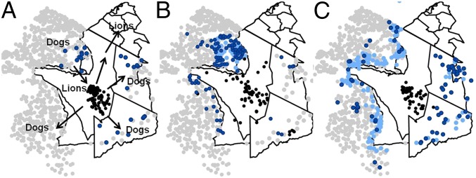 Fig. 1.