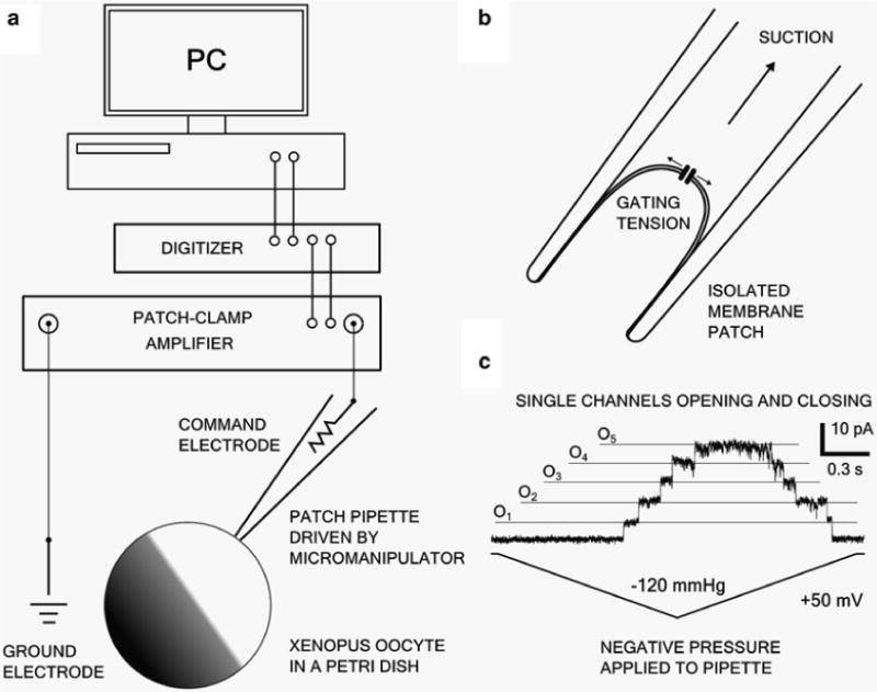 Fig. 3