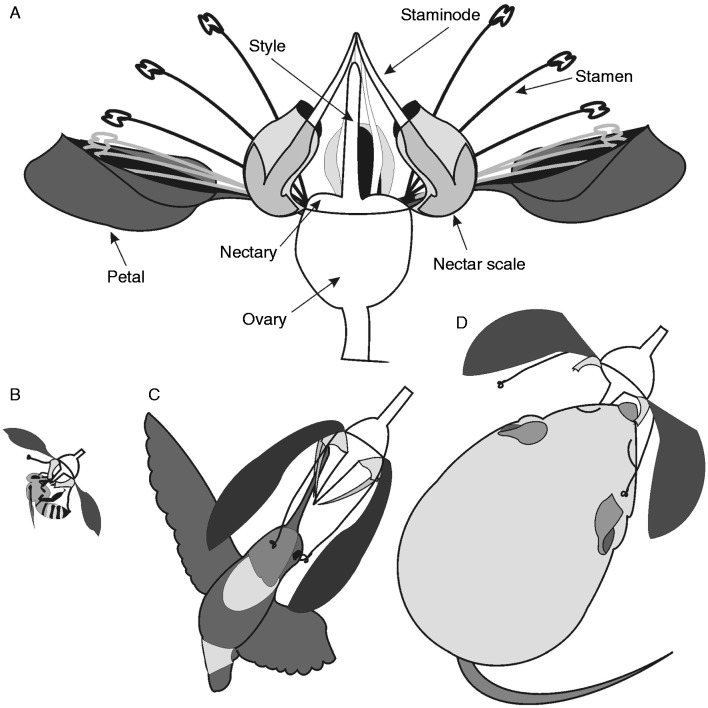 Fig. 3.