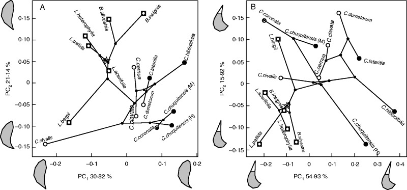 Fig. 5.